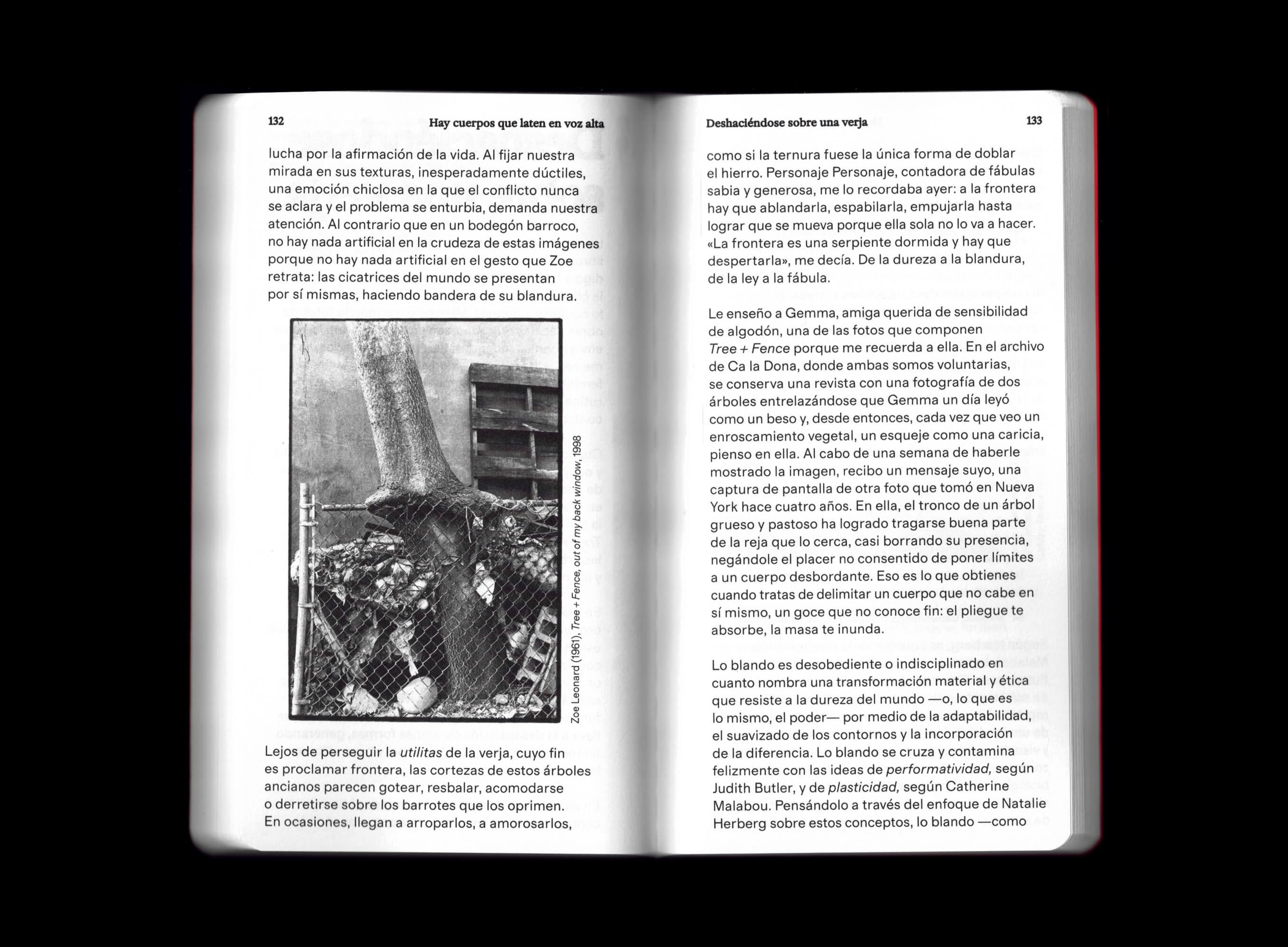 Description of the image